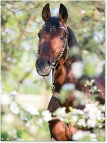 Décoration murale extérieure Paarden - Blossom - Printemps - Animaux - 120x160 cm - Toile jardin - Poster extérieur