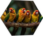 Dibond Hexagon - Ara papegaaien zitten op een rijtje langs elkaar op een tak - 50x43.5 cm Foto op Hexagon (Met Ophangsysteem)