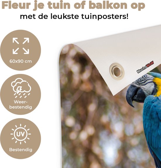 Tuinposter 60x90 cm - Tuindecoratie Vogel - Papegaai - Blauw - Poster voor in de tuin - Buiten decoratie - Schutting tuinschilderij - Tuindoek muurdecoratie - Wanddecoratie balkondoek