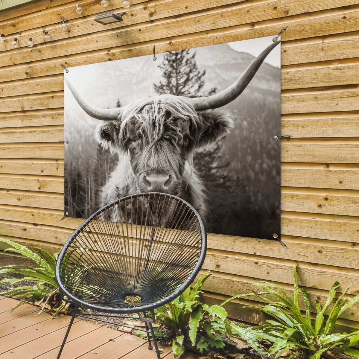 Affiche Encadrée Vache Écossaise – Poster Moderne 100x70cm Cadre Chêne Clair, Déco Animaux Salon Chambre