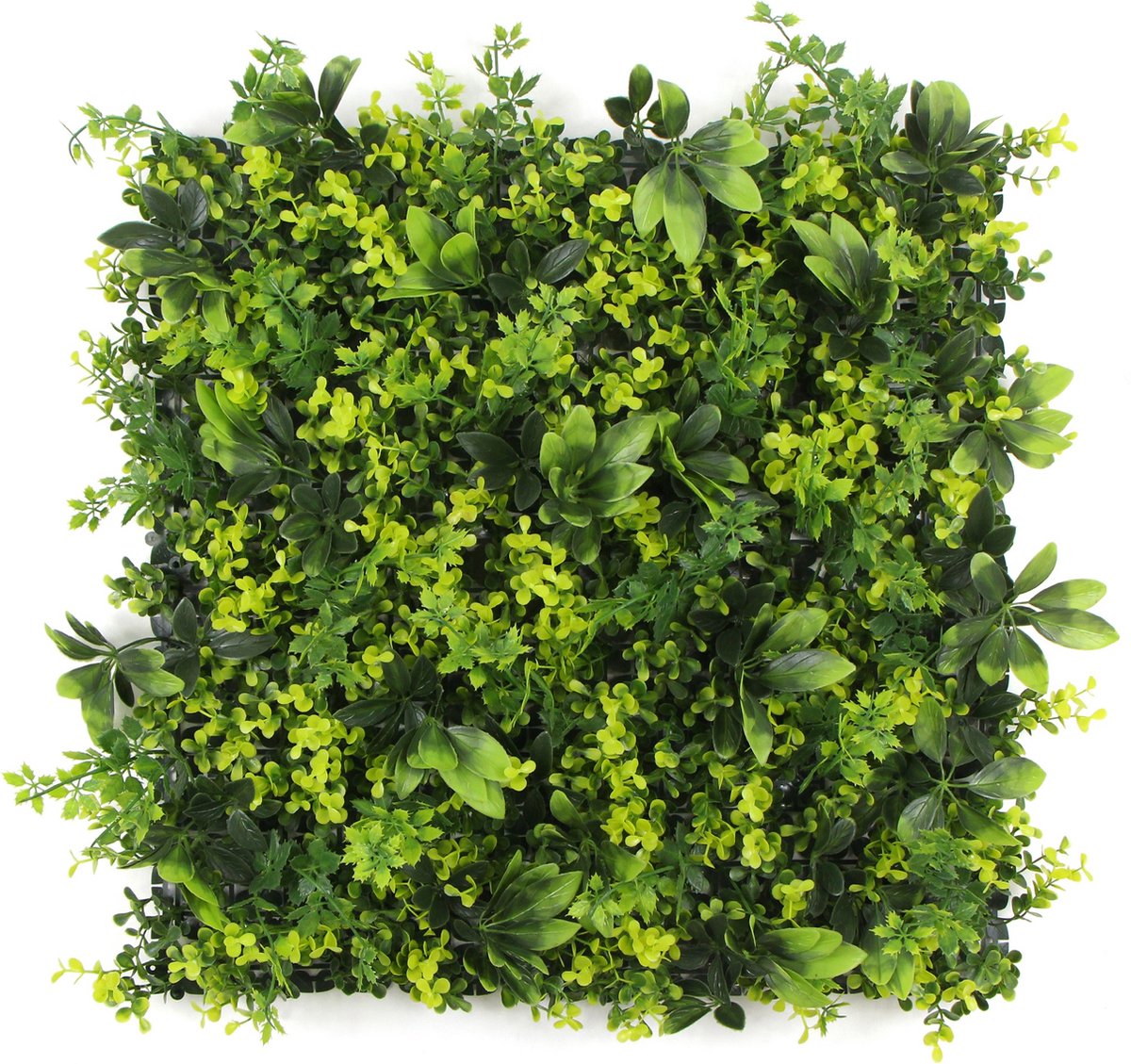 Maui | FOLY - 50 x 50 cm - Green wall voor decoratief binnen en buiten gebruik - Tropische kunsthaag - 5j UV garantie - JIVANA