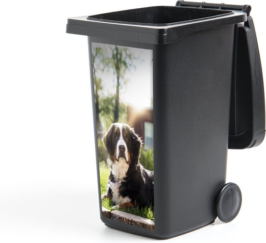 Container sticker Zonnestralen langs de Berner Sennenhond - 38x80 cm - Kliko sticker