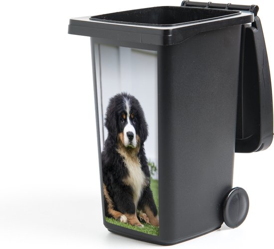 Container sticker Super schattige Berner Sennenhond puppy - 44x98 cm - Kliko sticker