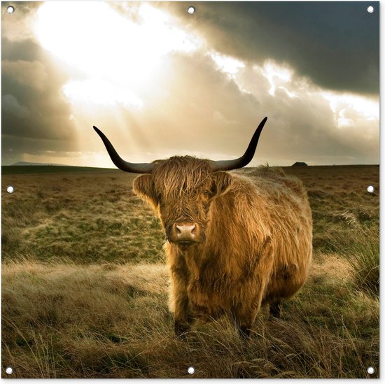 Foto: Tuindoek schotse hooglander zon dieren 100x100 cm