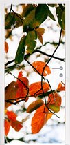 Deursticker Herfst - Bladeren - Landelijk - Seizoenen - 85x215 cm - Deurposter