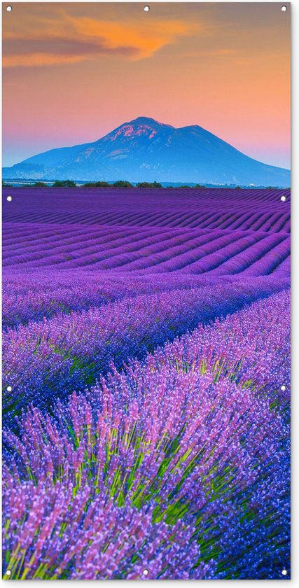 Tuinposter - Lavendel - Bloemen - Paars - Tuindoek
