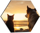 Dibond Hexagon - Hond en Kat Kijkend naar de Ondergaande Zon - 30x26.1 cm Foto op Hexagon (Met Ophangsysteem)