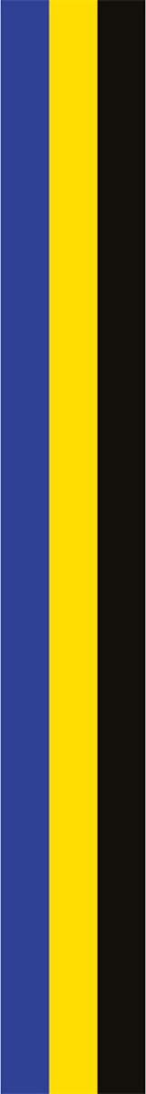 Gelderse Wimpel 25x250cm