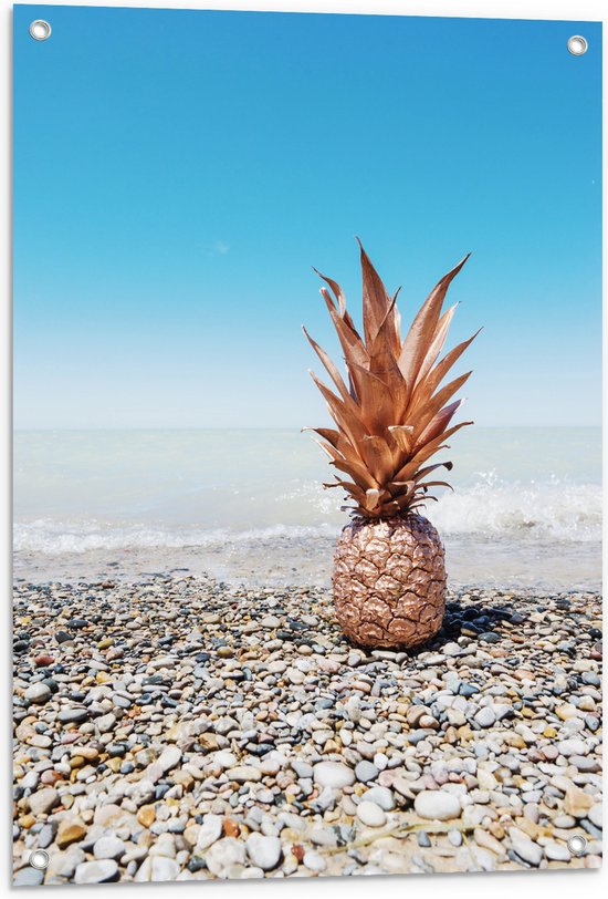 Tuinposter – Zee - Eten - Annanas - Stenen - Water - 60x90 cm Foto op Tuinposter (wanddecoratie voor buiten en binnen)