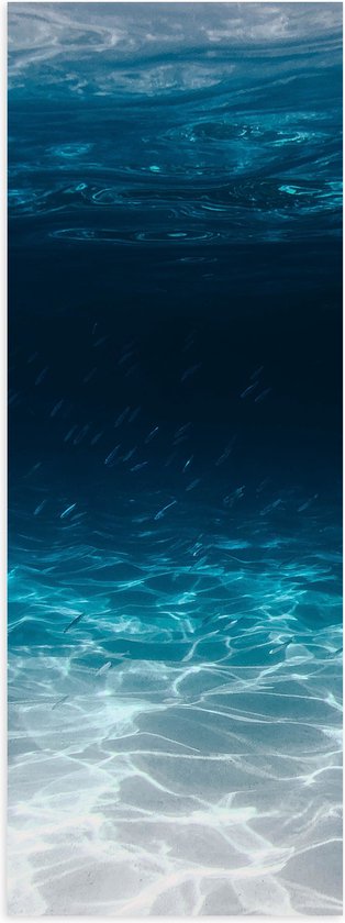 Poster (Mat) - Zee - Oceaan - Onderwater - Onderwaterleven - Schol - Vissen - Dieren - 20x60 cm Foto op Posterpapier met een Matte look