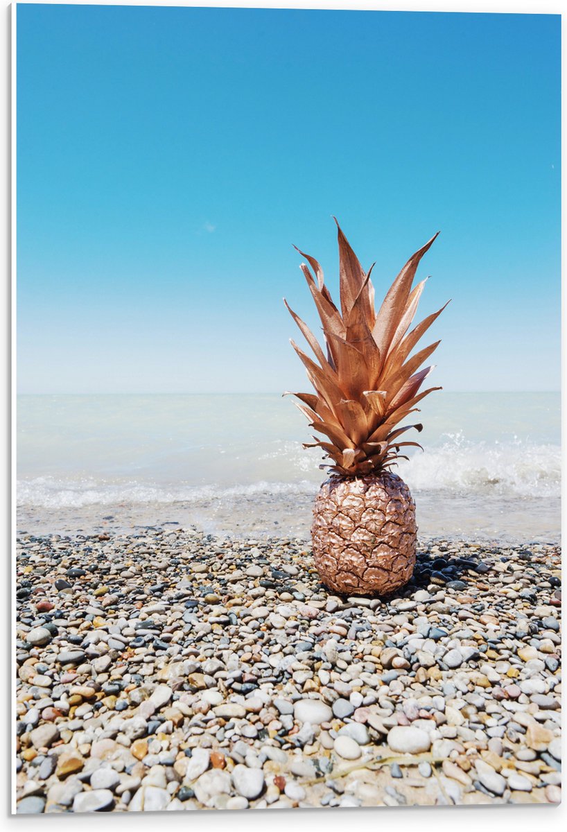 PVC Schuimplaat - Zee - Eten - Annanas - Stenen - Water - 40x60 cm Foto op PVC Schuimplaat (Met Ophangsysteem)