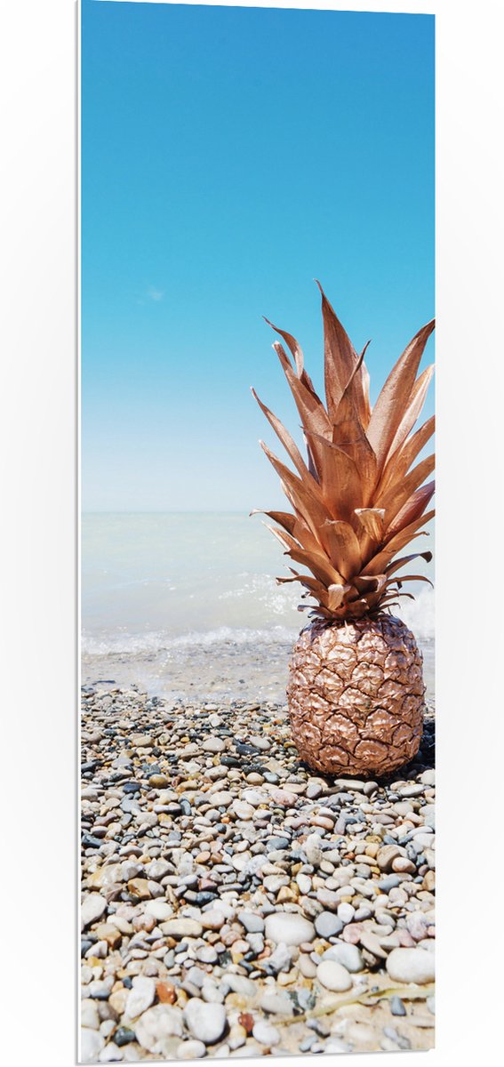 PVC Schuimplaat- Zee - Eten - Annanas - Stenen - Water - 40x120 cm Foto op PVC Schuimplaat