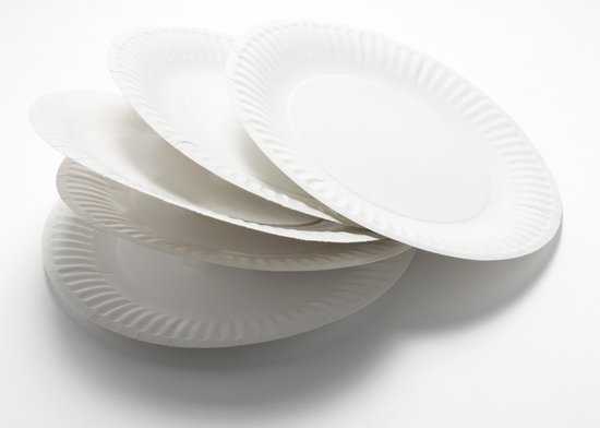 Commerline Papieren Borden 250 Stuks Wegwerpborden | Rechthoekig 32, 17x24 cm | Wegwerpservies | Taartborden, Feestborden, Partytellers, Papierschotels, Imbisborden, Voor Verjaardagsfeestjes