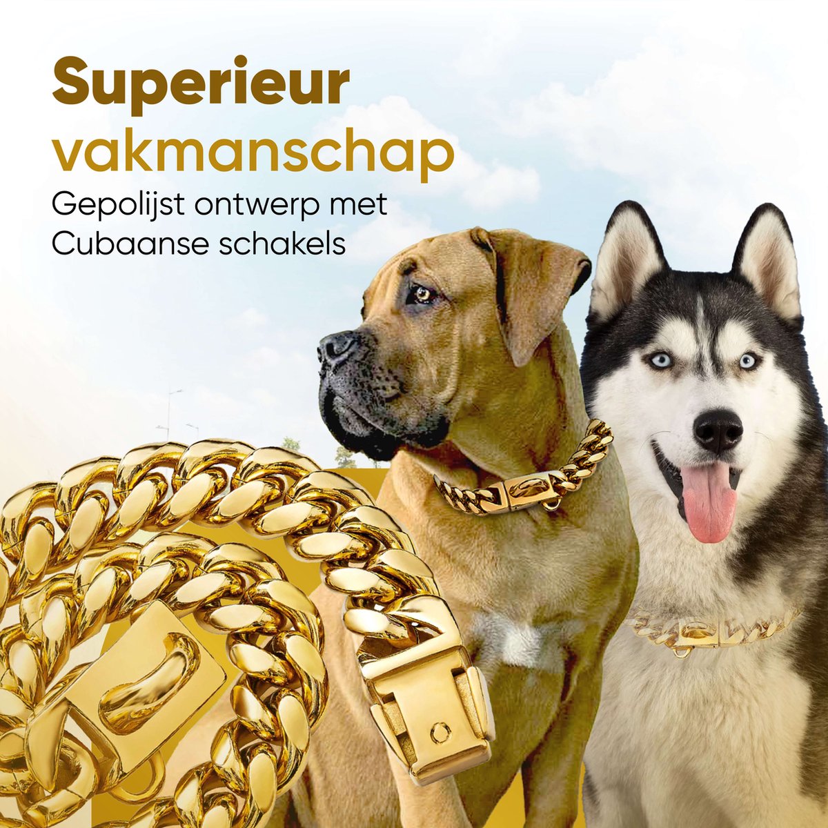 haoyueer Collier pour chien de petite moyenne et grande taille collier