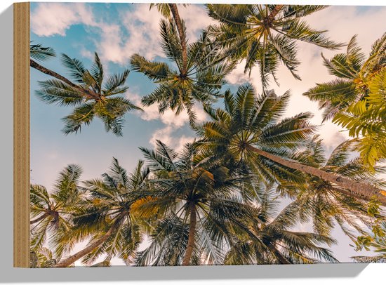 Hout - Onderaanzicht van Tropische Palmbomen onder Wolkenveld - 40x30 cm - 9 mm dik - Foto op Hout (Met Ophangsysteem)