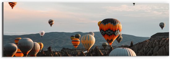 Dibond - Luchtballonnen in Verschillende Kleuren boven Hindoeïstische Tempels - 60x20 cm Foto op Aluminium (Met Ophangsysteem)