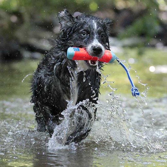 Chuckit- Amphibious Bumper-honden speelgoed- Drijvend hondenspeelgoed