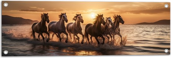 Tuinposter – Kudde Galopperende Paarden in de Zee bij Zonsondergang - 90x30 cm Foto op Tuinposter (wanddecoratie voor buiten en binnen)