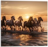 PVC Schuimplaat- Kudde Galopperende Paarden in de Zee bij Zonsondergang - 50x50 cm Foto op PVC Schuimplaat