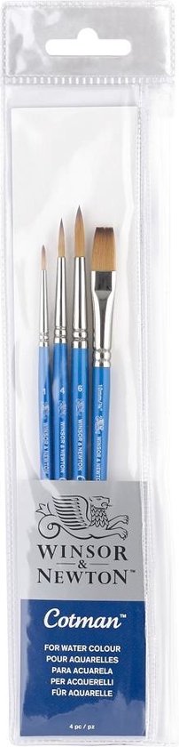 No 8 Serie 111 Winsor & Newton Cotman Water Colour Penseel