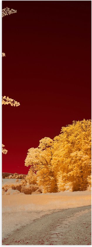 Poster Glanzend – Landschap - Bomen - Rood - Geel - 20x60 cm Foto op Posterpapier met Glanzende Afwerking