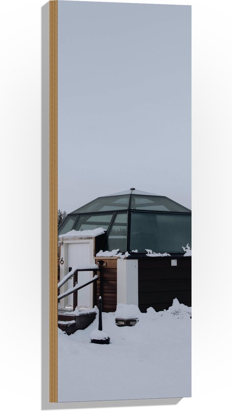 Hout - Huisje - Sneeuw - Rond - Bomen - Bossen - 30x90 cm - 9 mm dik - Foto op Hout (Met Ophangsysteem)