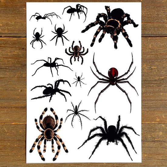Een vel met diverse zwarte en bruine spinnen tattoos. Inclusief een grote tarantula, een zwarte weduwe en kleinere spinnen.