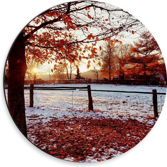 Dibond Muurcirkel - Landschap - Winter - Bomen - Bladeren - Sneeuw - Zonsondergang - 30x30 cm Foto op Aluminium Muurcirkel (met ophangsysteem)