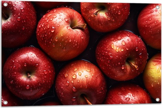 Tuinposter – Verse Rode Appels onder de Waterdruppels - 90x60 cm Foto op Tuinposter (wanddecoratie voor buiten en binnen)