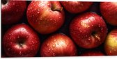 Dibond - Verse Rode Appels onder de Waterdruppels - 100x50 cm Foto op Aluminium (Wanddecoratie van metaal)
