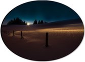 Dibond Ovaal - Landschap - Sneeuw - Paaltjes - Bomen - Zonsondergang - 28x21 cm Foto op Ovaal (Met Ophangsysteem)