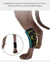 Hondbrace, Hond ondersteuning, hond brace, braces, dogs braces, hond bandage, honden brace, halsband, harnas, dog knee pad support, hond protector maat L/XL, hond heup brace, hond knie protector, hond knie brace, honden beugel, honden knie spalk.