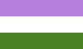 Genderqueer Pride Vlag 200x300cm