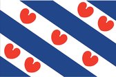 Friese Vlag 200x300cm