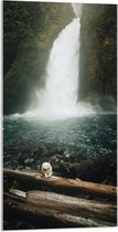 Acrylglas - Water - Waterval - Stenen - Hout - Dier - Hond - Persoon - 50x100 cm Foto op Acrylglas (Met Ophangsysteem)