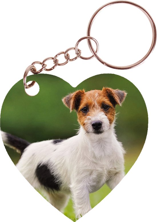 Foto: Sleutelhanger hartje 5x5cm jack russel terrier hond