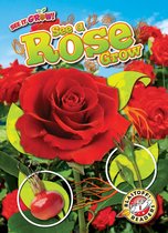 See It Grow! - See a Rose Grow