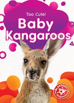 Too Cute! - Baby Kangaroos