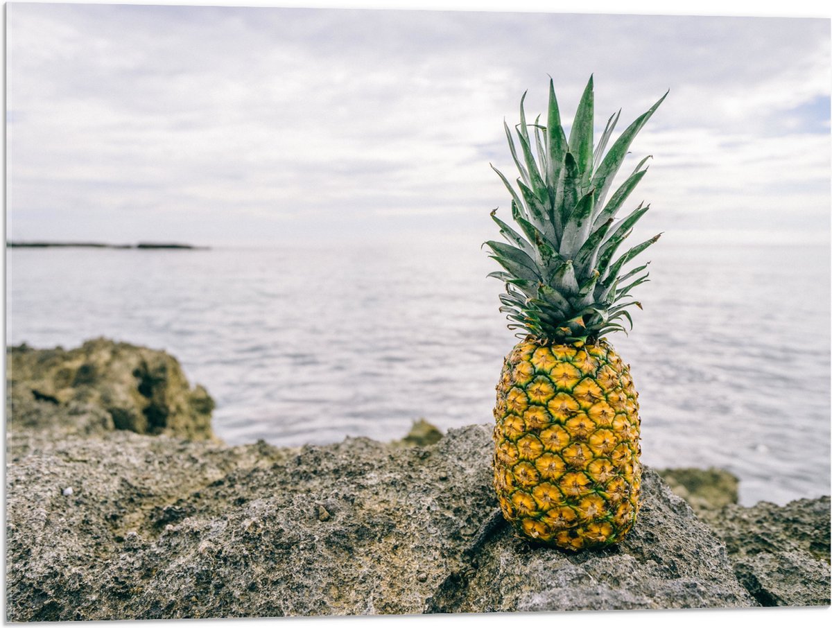 Acrylglas - Ananas - Rotsen - Zee - Golven - 80x60 cm Foto op Acrylglas (Met Ophangsysteem)