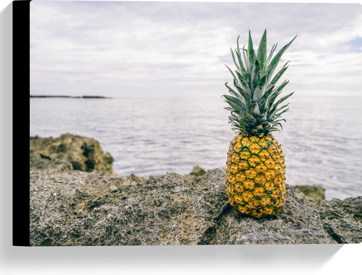 Canvas - Ananas - Rotsen - Zee - Golven - 40x30 cm Foto op Canvas Schilderij (Wanddecoratie op Canvas)
