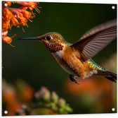 Tuinposter – Rode kolibrie vogel vliegt naar oranje bloemen toe - 80x80 cm Foto op Tuinposter (wanddecoratie voor buiten en binnen)