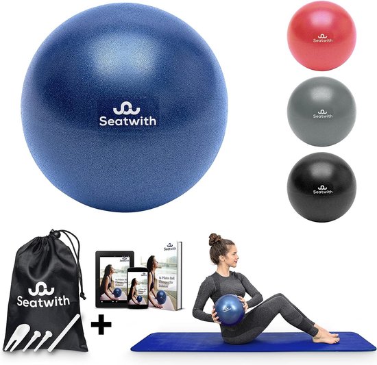 Ballon de Pilates, petit, 23 cm, ensemble complet avec sac de transport +  exercices... | bol.com