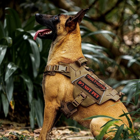 Gilet / harnais pour chien / chat de petite taille OneTigris