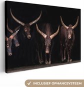 Canvas Schilderij Stieren - Dieren - Bruin - Donker - 90x60 cm - Wanddecoratie