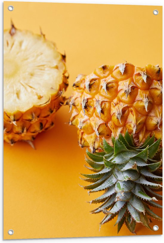 Tuinposter – Ananas in Tweeën met Gele Achtergrond - 60x90 cm Foto op Tuinposter (wanddecoratie voor buiten en binnen)