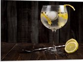 Dibond - Gin Tonic met Citroenschijfjes - 80x60 cm Foto op Aluminium (Met Ophangsysteem)