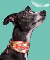 DWAM Halsband hond – Hondenhalsband – Windhond – Roze – Leer – L – 31-38 x 6 cm – Sweet Mae