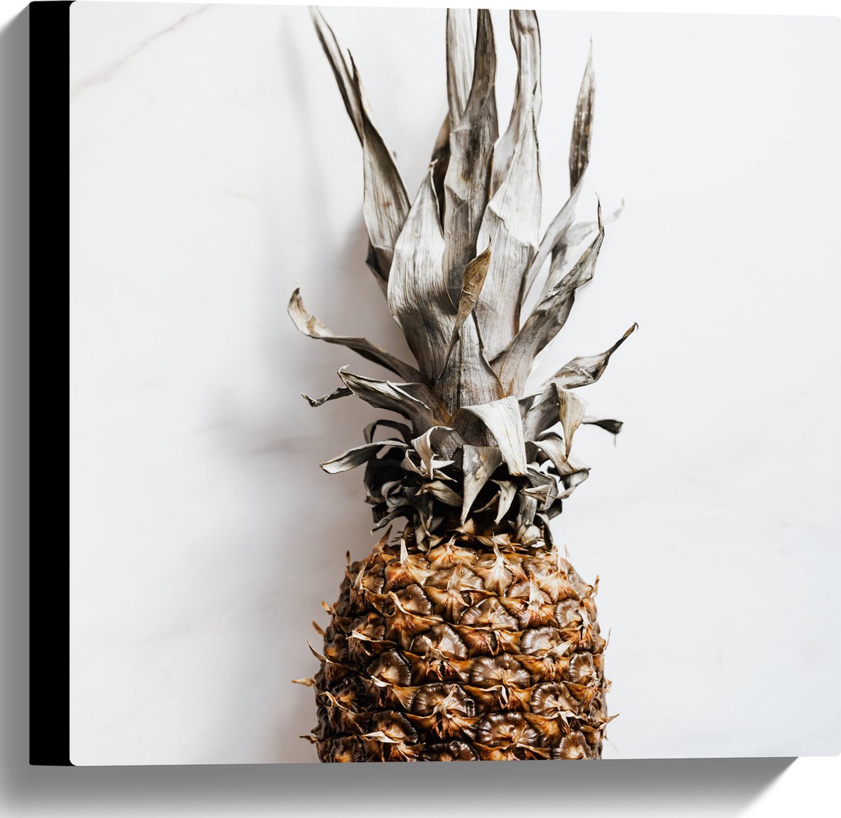 Canvas - Ananas op Witte Achtergrond - 40x40 cm Foto op Canvas Schilderij (Wanddecoratie op Canvas)