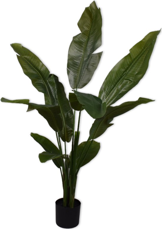 Silk-ka Kunstplant voor Binnen Strelitzia Groen 150 cm