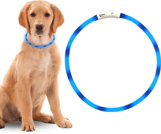 Professor Q Led Hondenhalsband - Veiligheidshalsband Hond - Led Halsband Hond - Halsband USB Oplaadbaar - Blauw